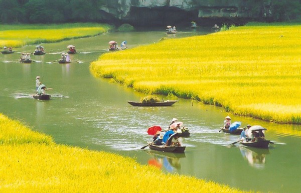 HOA LU - TAM COC